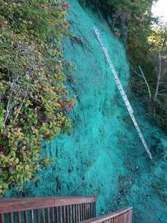 hydroseeding-mercer-island_1