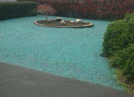 new-lawn-hydroseeding-tacoma