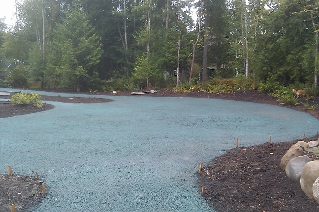 tacoma-hydroseeding-2_orig